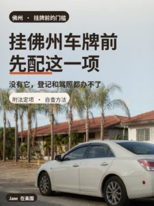 佛州街道上的白色轿车与棕榈封面图｜Jane 在美国