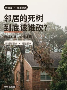 枯死倾斜的松树与佐治亚砖房封面图｜Jane 在美国