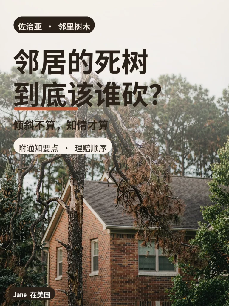 枯死倾斜的松树与佐治亚砖房封面图|Jane 在美国