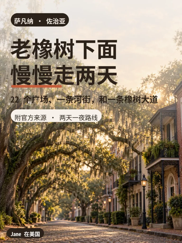 萨凡纳老橡树苔藓下的鹅卵石街道封面图|Jane 在美国