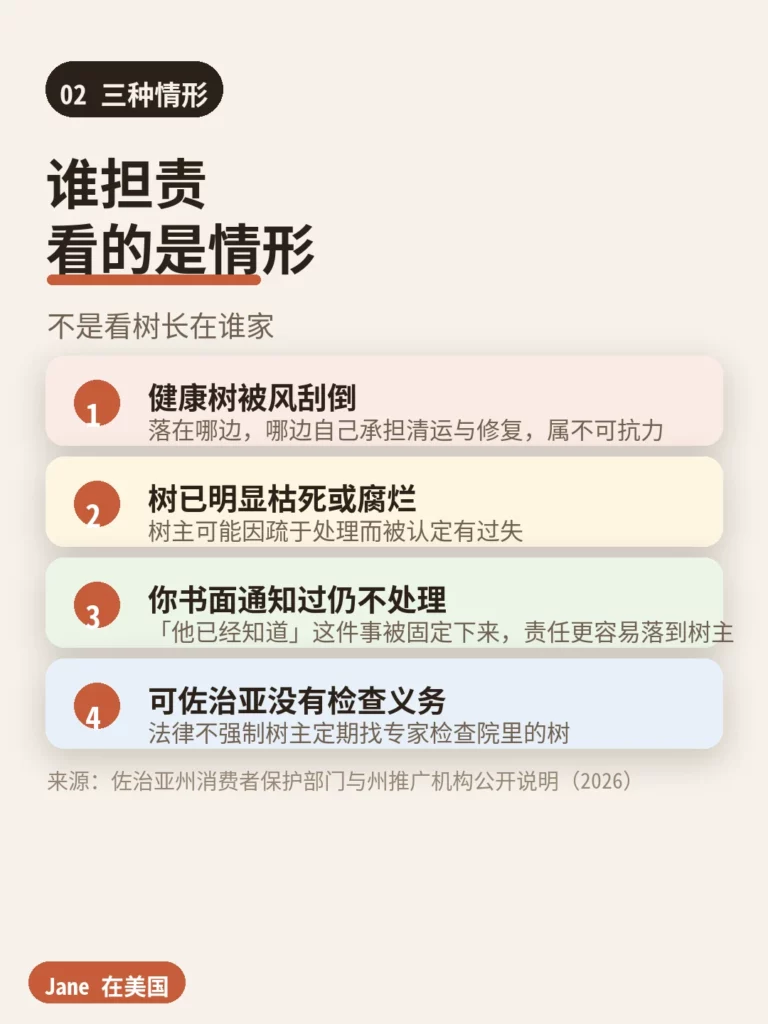 三种情形|Jane 在美国