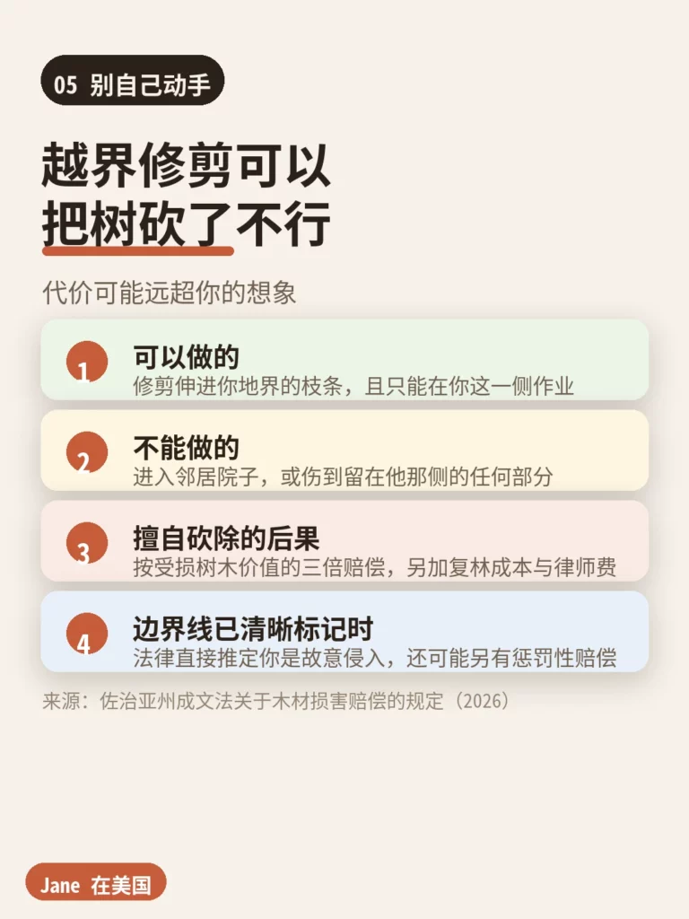 越界修剪的权限与擅自砍伐的代价|Jane 在美国