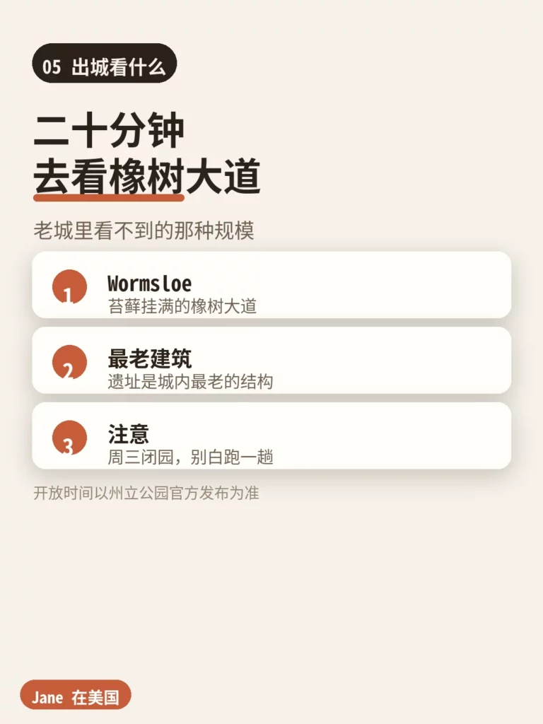Wormsloe 州立历史遗址的橡树大道|Jane 在美国