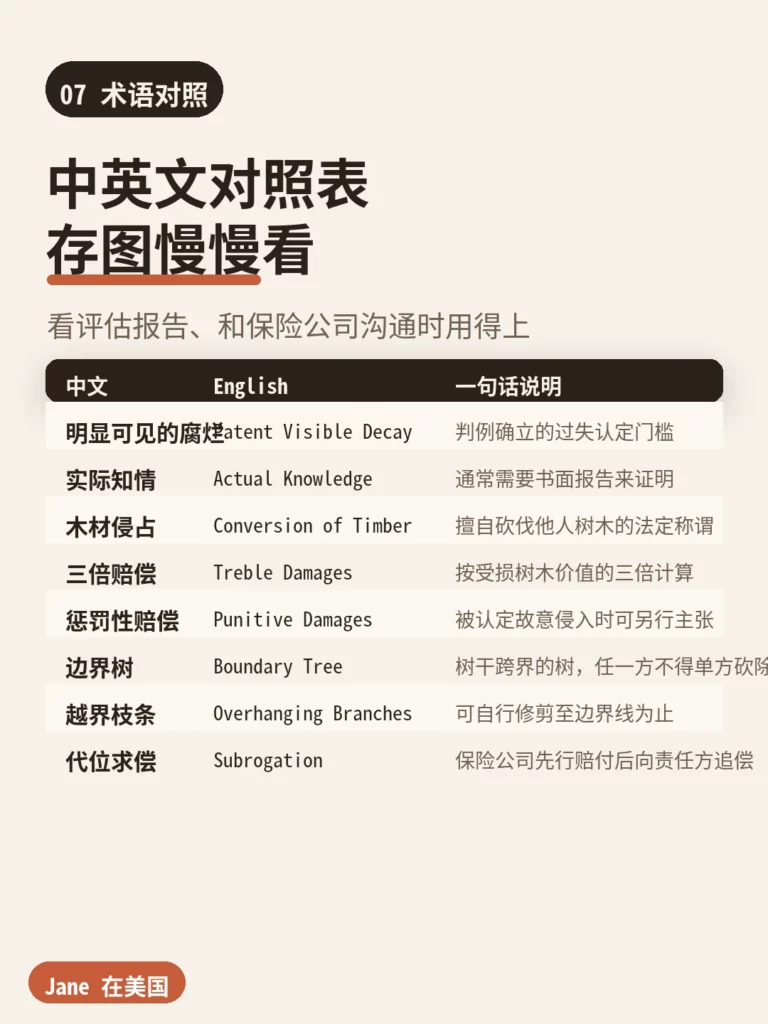 术语对照|Jane 在美国